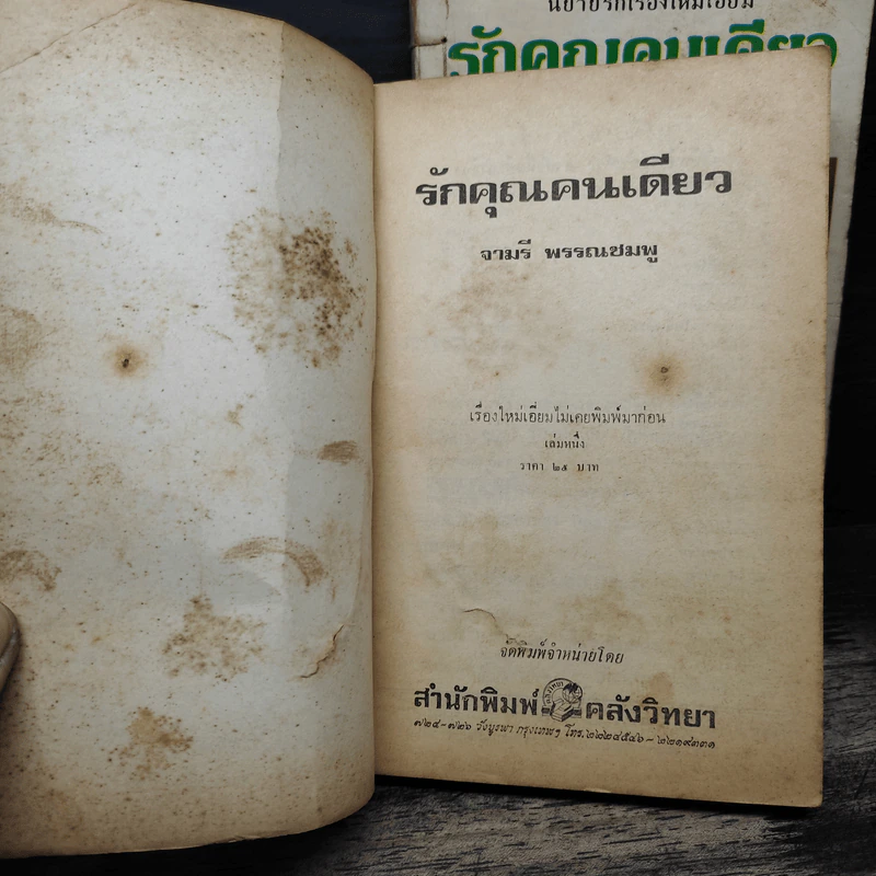 รักคุณคนเดียว 2 เล่มจบ - จามรี พรรณชมพู รูปที่ 6