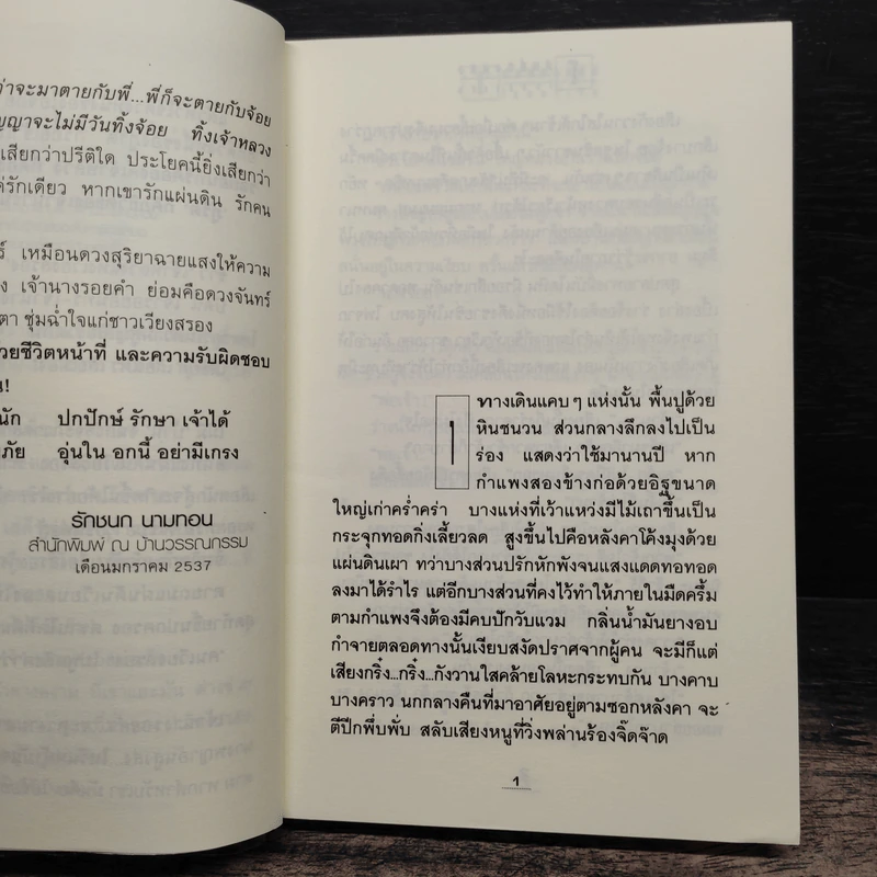 โสมส่องแสง 2 เล่มจบ - โรสลาเรน รูปที่ 8