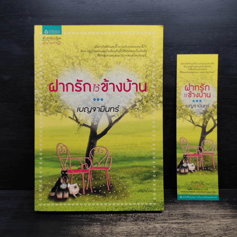 ฝากรักไว้ข้างบ้าน - เบญจามินทร์ รูปที่ 1