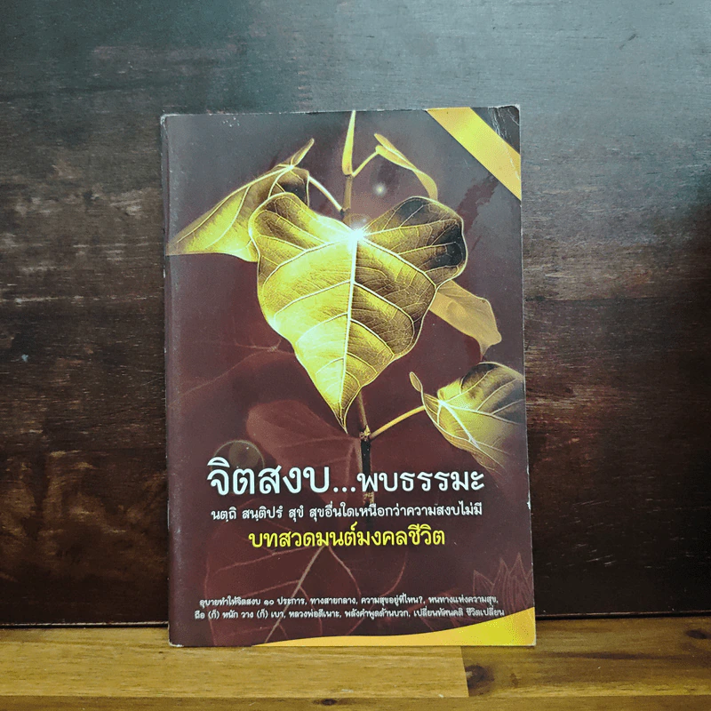 จิตสงบ...พบธรรมะ สุขอื่นใดเหนือกว่าความสงบไม่มี บทสวดมนต์มงคลชีวิต รูปที่ 1