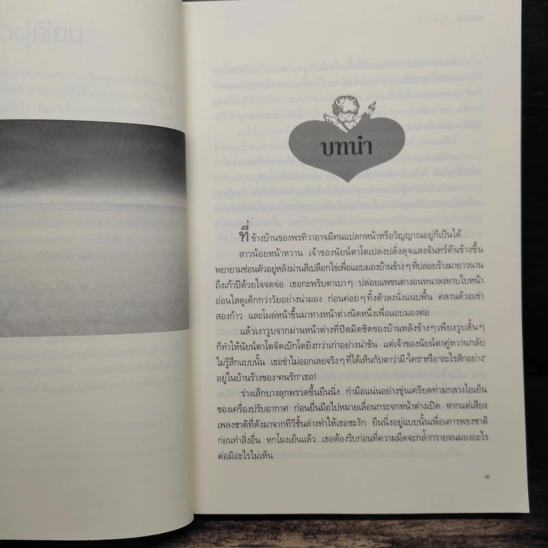 ล่าหัวใจสุดปลายฟ้า - มารีอา รูปที่ 7