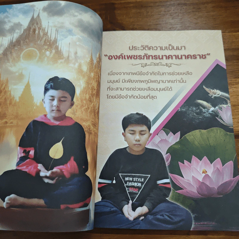 ธรรมะ ธรรมชาติ - อาจารย์น้องไนซ์ นิรมิต เทวาจุติ รูปที่ 6