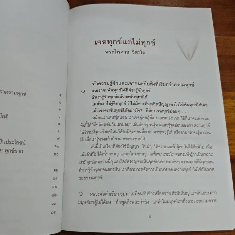 เจอทุกข์ แต่ไม่ทุกข์ - พระไพศาล วิสาโล รูปที่ 7