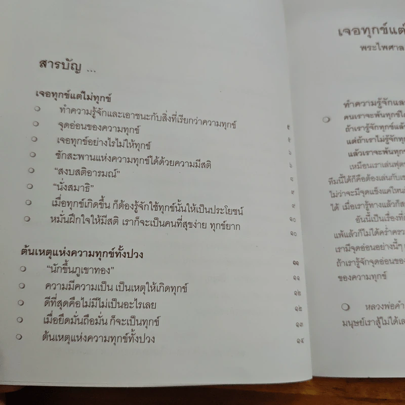 เจอทุกข์ แต่ไม่ทุกข์ - พระไพศาล วิสาโล รูปที่ 6