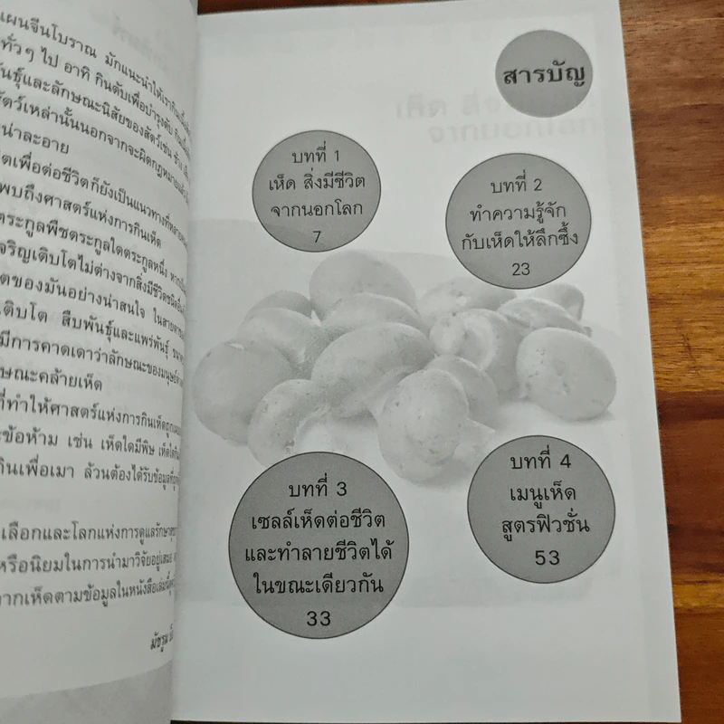สิ่งมีชีวิตที่เรียกว่าเห็ด - มัชรูม บ็อบ รูปที่ 7