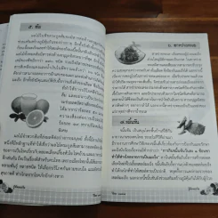 รู้ทันมะเร็ง บำบัดกายด้วยสมุนไพร รักษาใจด้วยการสวดมนต์ สมุนไพรไทยใกล้ตัว ป้องกัน และต้านโรคมะเร็ง รูปที่ 8