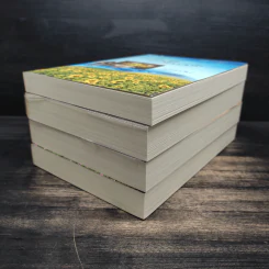 Boxset นวนิยายชุด แผ่นดินแห่งรัก 4 เล่ม รอยรักในดวงใจ, เพรงรักรอยฝัน, ในร่มเงารัก, ดั่งต้องมนตร์รัก รูปที่ 7