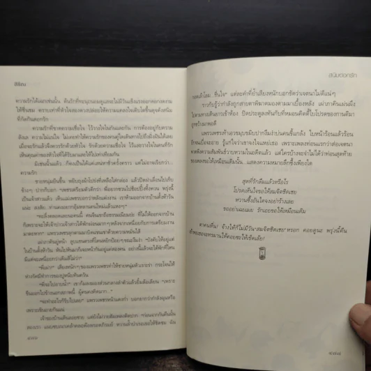 สนิมดอกรัก - สิริณ รูปที่ 8