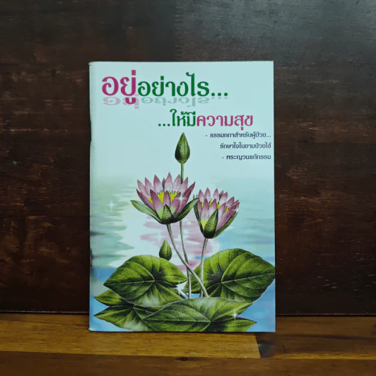 อยู่อย่างไรให้มีความสุข ธรรมกถาสำหรับผู้ป่วย รักษาใจในยามป่วยไข้ - พระญวนแก้กรรม รูปที่ 1