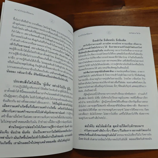 สบายใจในโลกที่ผันผวน - พระไพศาล วิสาโล รูปที่ 7