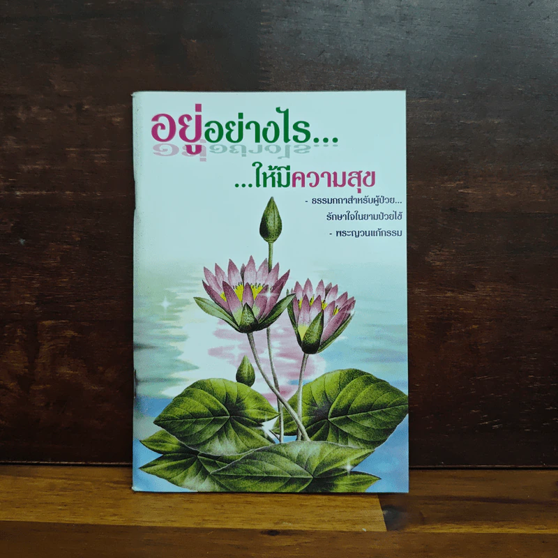 อยู่อย่างไรให้มีความสุข ธรรมกถาสำหรับผู้ป่วย รักษาใจในยามป่วยไข้ - พระญวนแก้กรรม รูปที่ 1