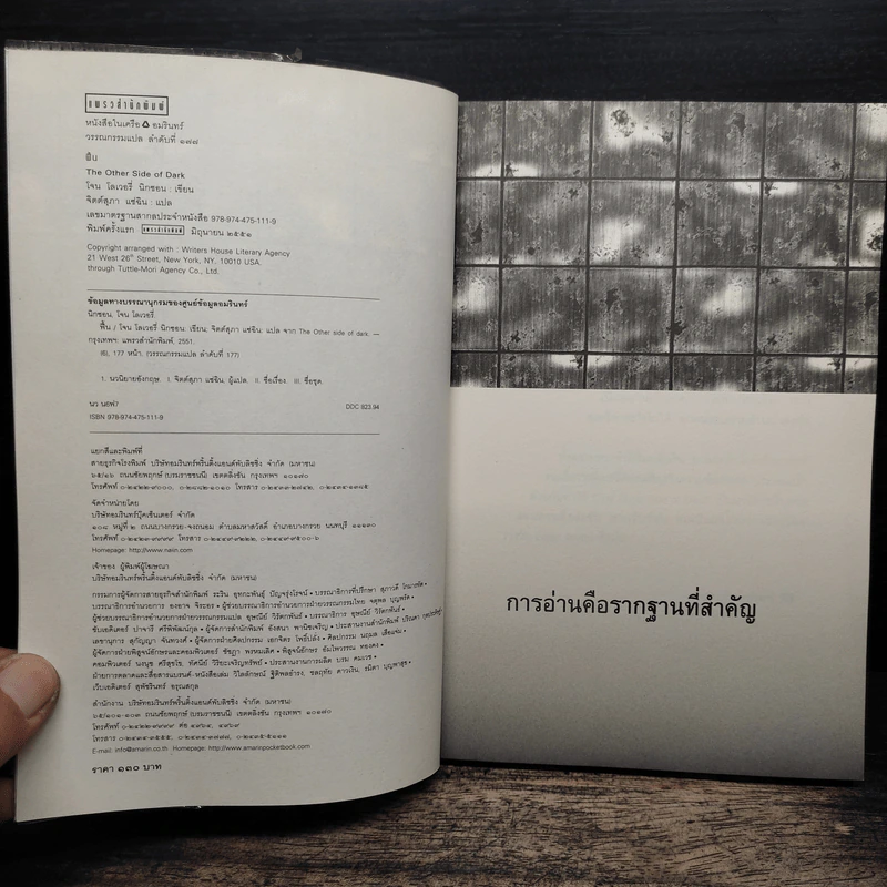The Other Side of Dark ฟื้น - โจน โลเวอรี่ นิกซอน รูปที่ 6