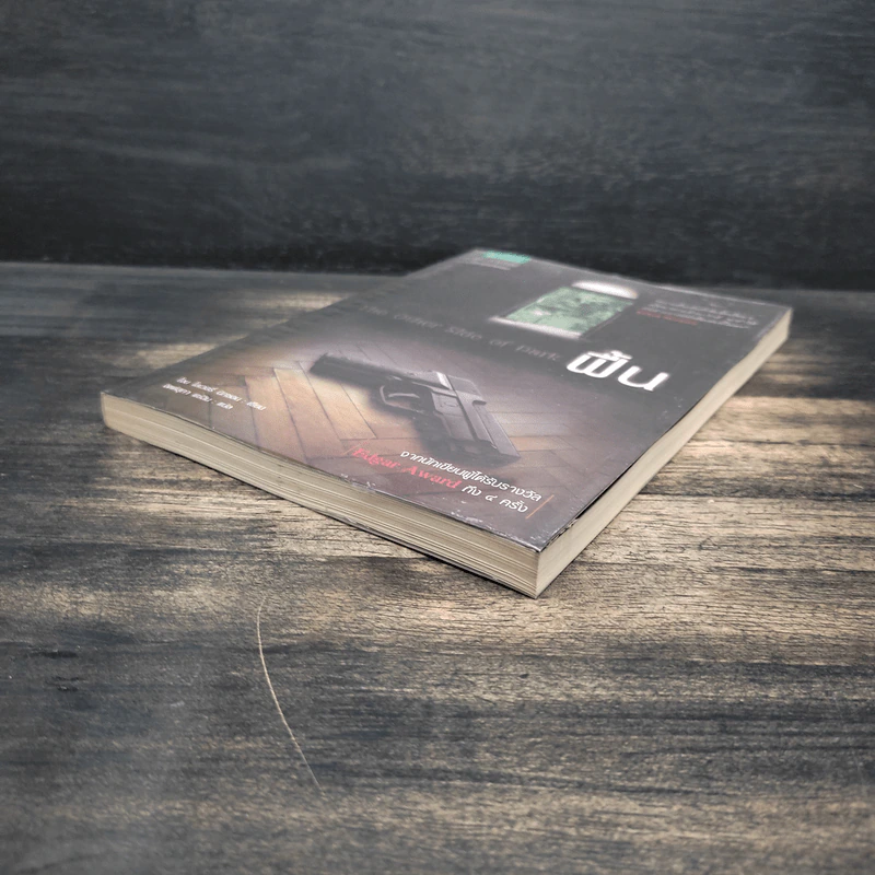 The Other Side of Dark ฟื้น - โจน โลเวอรี่ นิกซอน รูปที่ 4
