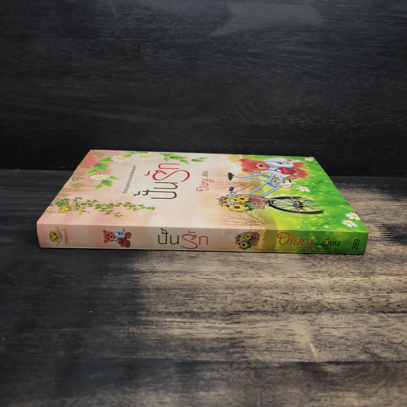 ปั้นรัก - Diary รูปที่ 3