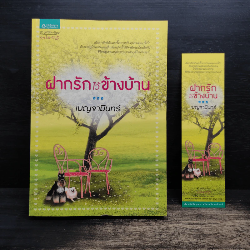 ฝากรักไว้ข้างบ้าน - เบญจามินทร์ รูปที่ 1