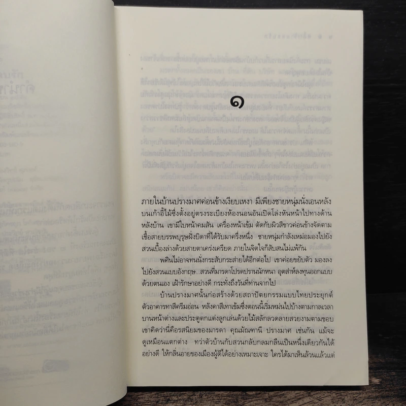 พลิกร้ายตลบรัก - ธารใส รูปที่ 7