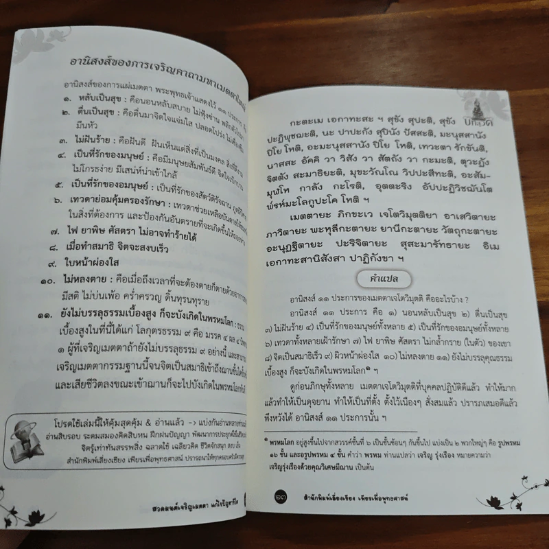 สวดมนต์คาถามหาเมตตาใหญ่ แก้ไขเวรกรรม - ศักดิ์สิทธิ์ พันธุ์สัทธ์ รูปที่ 7