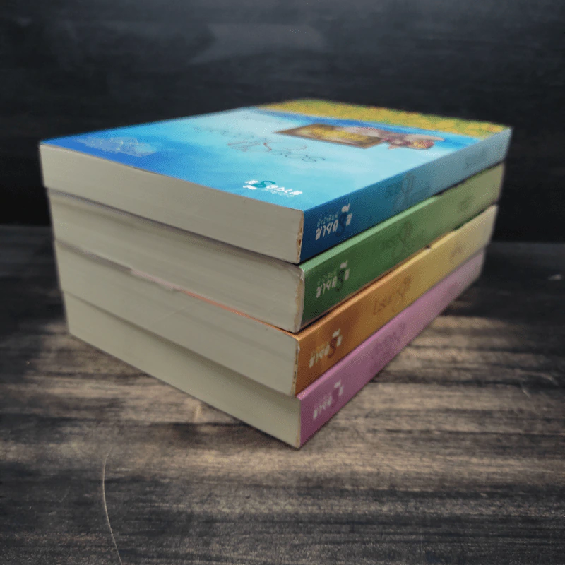 Boxset นวนิยายชุด แผ่นดินแห่งรัก 4 เล่ม รอยรักในดวงใจ, เพรงรักรอยฝัน, ในร่มเงารัก, ดั่งต้องมนตร์รัก รูปที่ 8