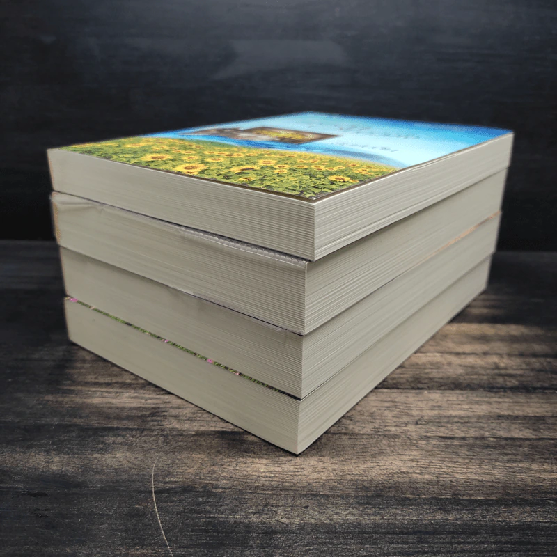 Boxset นวนิยายชุด แผ่นดินแห่งรัก 4 เล่ม รอยรักในดวงใจ, เพรงรักรอยฝัน, ในร่มเงารัก, ดั่งต้องมนตร์รัก รูปที่ 7