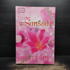 จะรักหรือยัง - กรุง ญ.ฉัตร รูปที่ 1