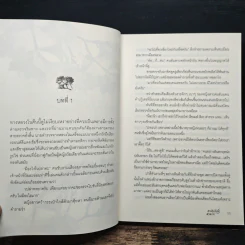 ดาวดินสิ้นฟ้าสาละวิน - ณ พิชา รูปที่ 7