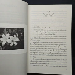 ลูกไม้ซ่อนลายรัก - มุตตา รูปที่ 7