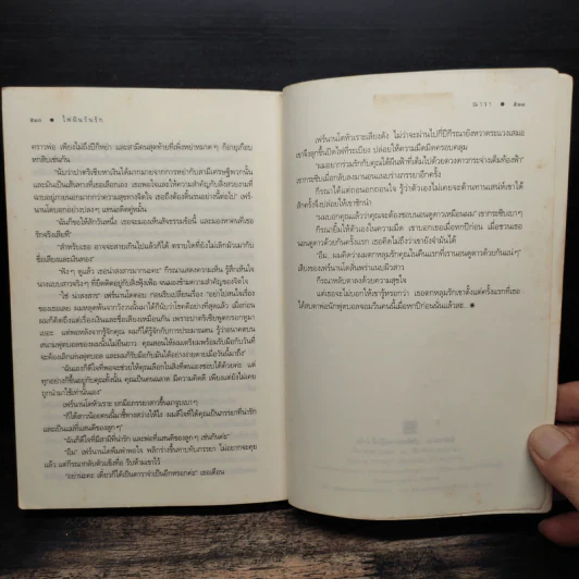 ไฟฝันวันรัก - ณารา รูปที่ 8