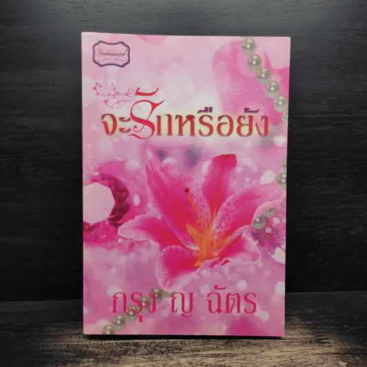 จะรักหรือยัง - กรุง ญ.ฉัตร รูปที่ 1