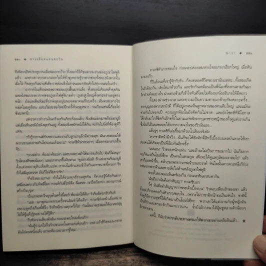 สายเลือดแดนตะวัน - ณารา รูปที่ 8