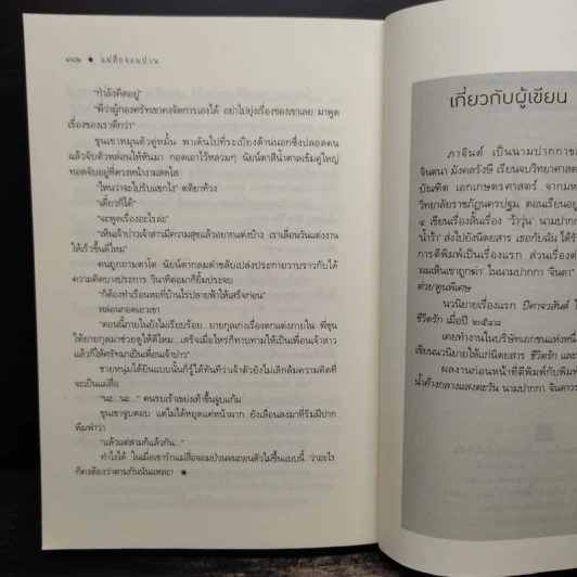 แม่สื่อจอมป่วน - ภาจินต์ รูปที่ 8