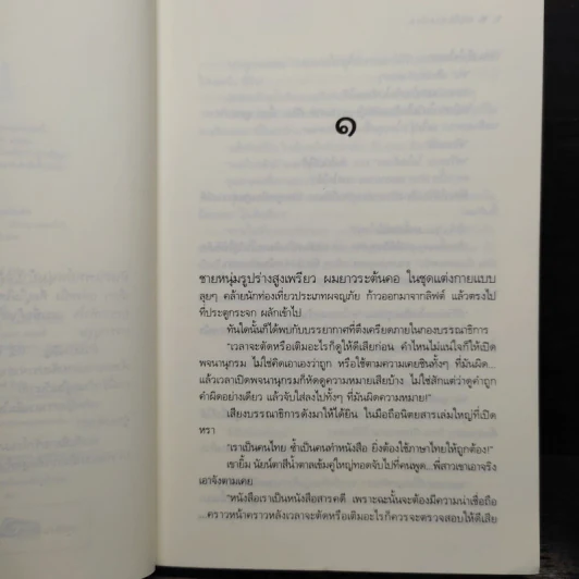 แม่สื่อจอมป่วน - ภาจินต์ รูปที่ 7