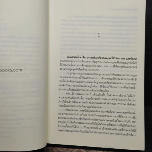รัตนมณีแห่งดวงดาว - เบญจามินทร์ รูปที่ 7