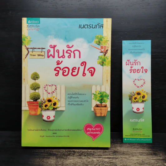 ฝันรักร้อยใจ - เนตรนภัส รูปที่ 1
