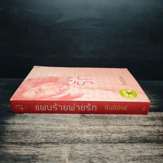 แผนร้ายพ่ายรัก - ปิ่นปินัทธ์ รูปที่ 3