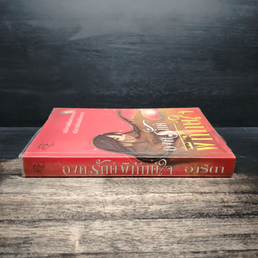 องครักษ์พิทักษ์ใจ - อาริตา รูปที่ 3
