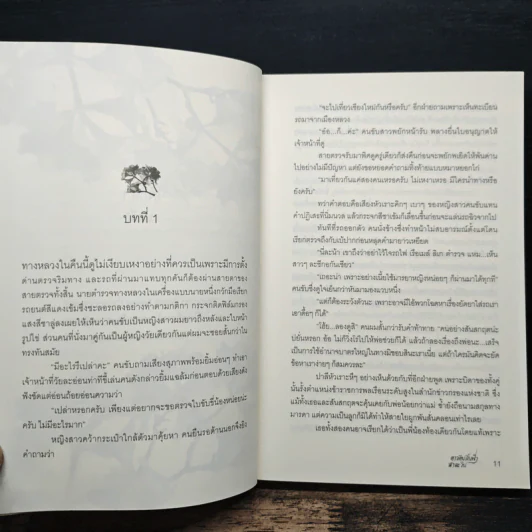 ดาวดินสิ้นฟ้าสาละวิน - ณ พิชา รูปที่ 7