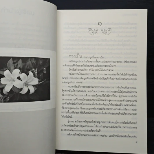ลูกไม้ซ่อนลายรัก - มุตตา รูปที่ 7