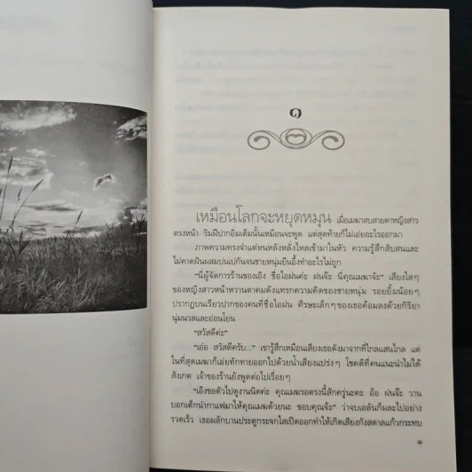 กับดักร้ายกลายรัก - ติญญา รูปที่ 7