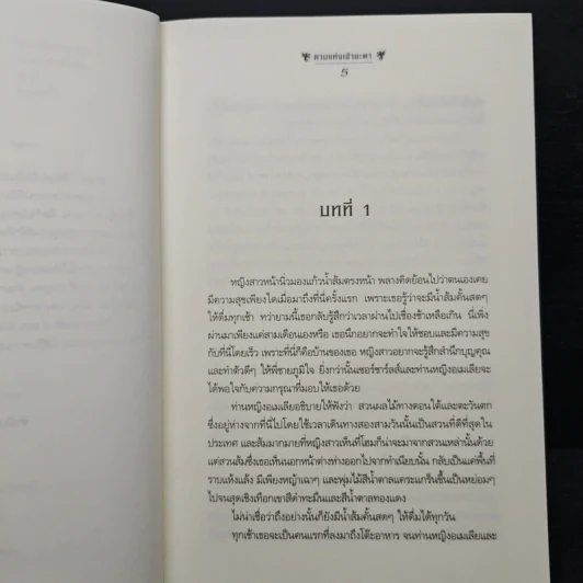 ธิดาจอมราชันย์ ตอน ดาบแห่งเจ้าชะตา - Robin McKinley รูปที่ 7
