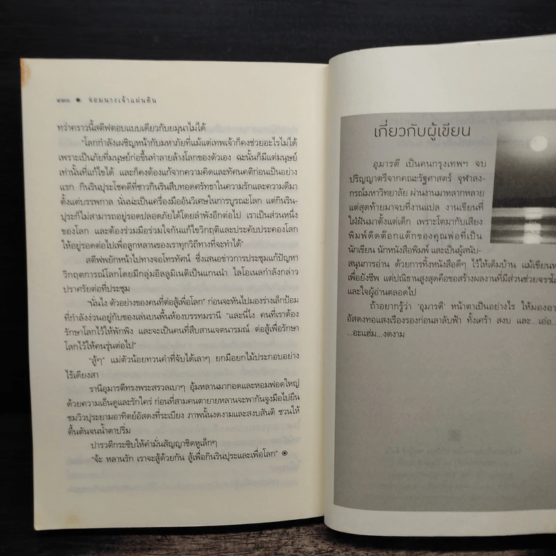 จอมนางเจ้าแผ่นดิน - อุมารตี รูปที่ 9