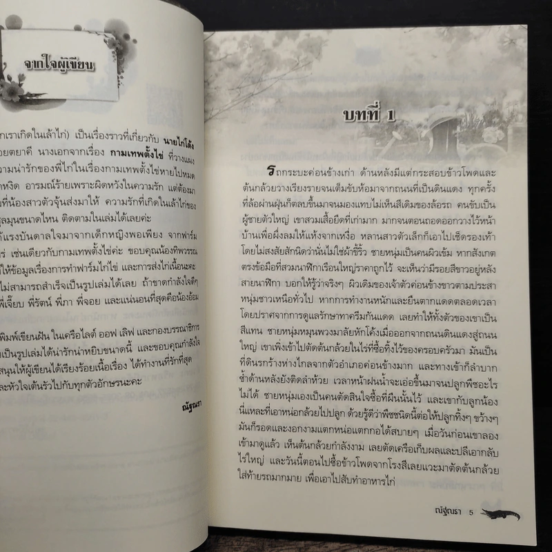 เล้าลมรัก - ณัฐณรา รูปที่ 7