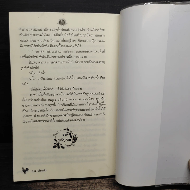 เล้าลมรัก - ณัฐณรา รูปที่ 8