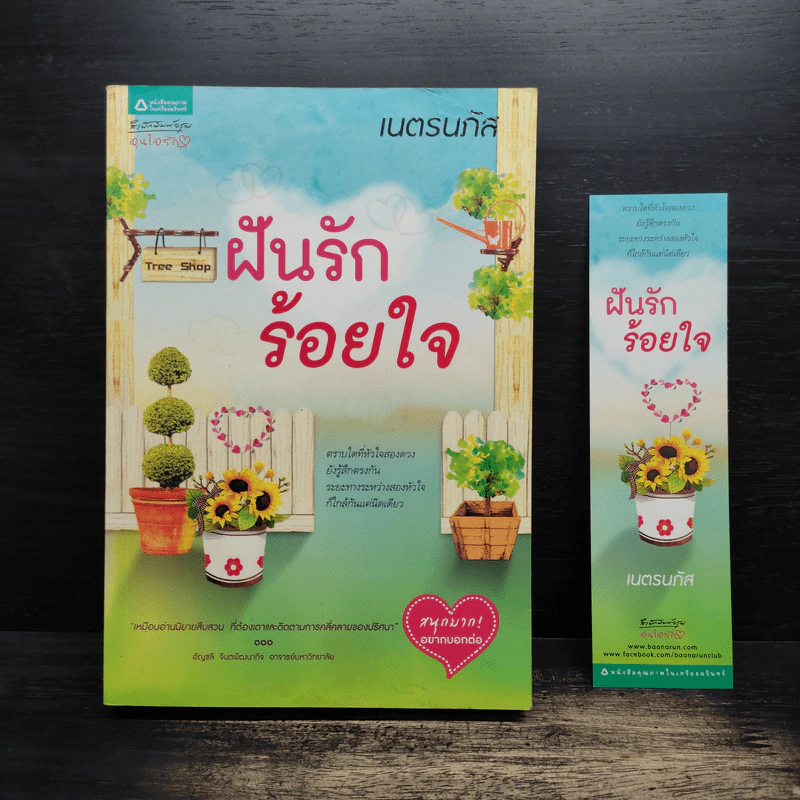 ฝันรักร้อยใจ - เนตรนภัส รูปที่ 1