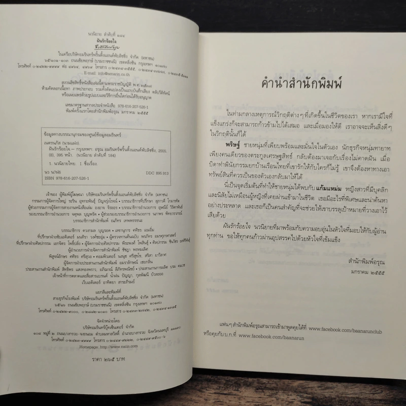 ฝันรักร้อยใจ - เนตรนภัส รูปที่ 6