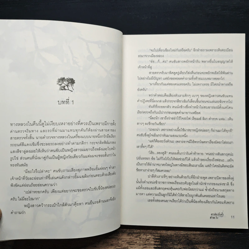 ดาวดินสิ้นฟ้าสาละวิน - ณ พิชา รูปที่ 7