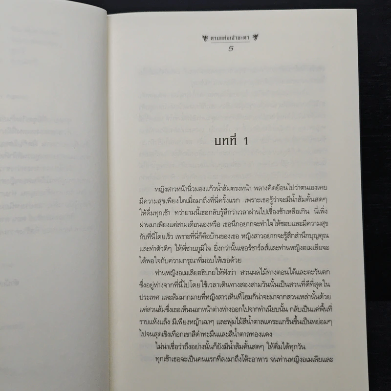 ธิดาจอมราชันย์ ตอน ดาบแห่งเจ้าชะตา - Robin McKinley รูปที่ 7