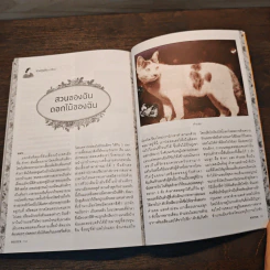 Writer ปีที่ 2 ฉบับที 24 พฤษภาคม พ.ศ. 2557 รูปที่ 9