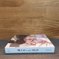 Cat In The Trap - CINZANO 505 รูปที่ 2