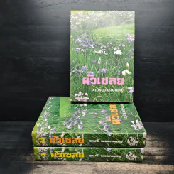ผัวเชลย 3 เล่มจบ - จามรี พรรณชมพู