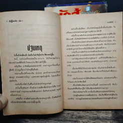 นักสู้กู้แผ่นดิน 4 เล่มจบ - น.นพรัตน์ รูปที่ 6